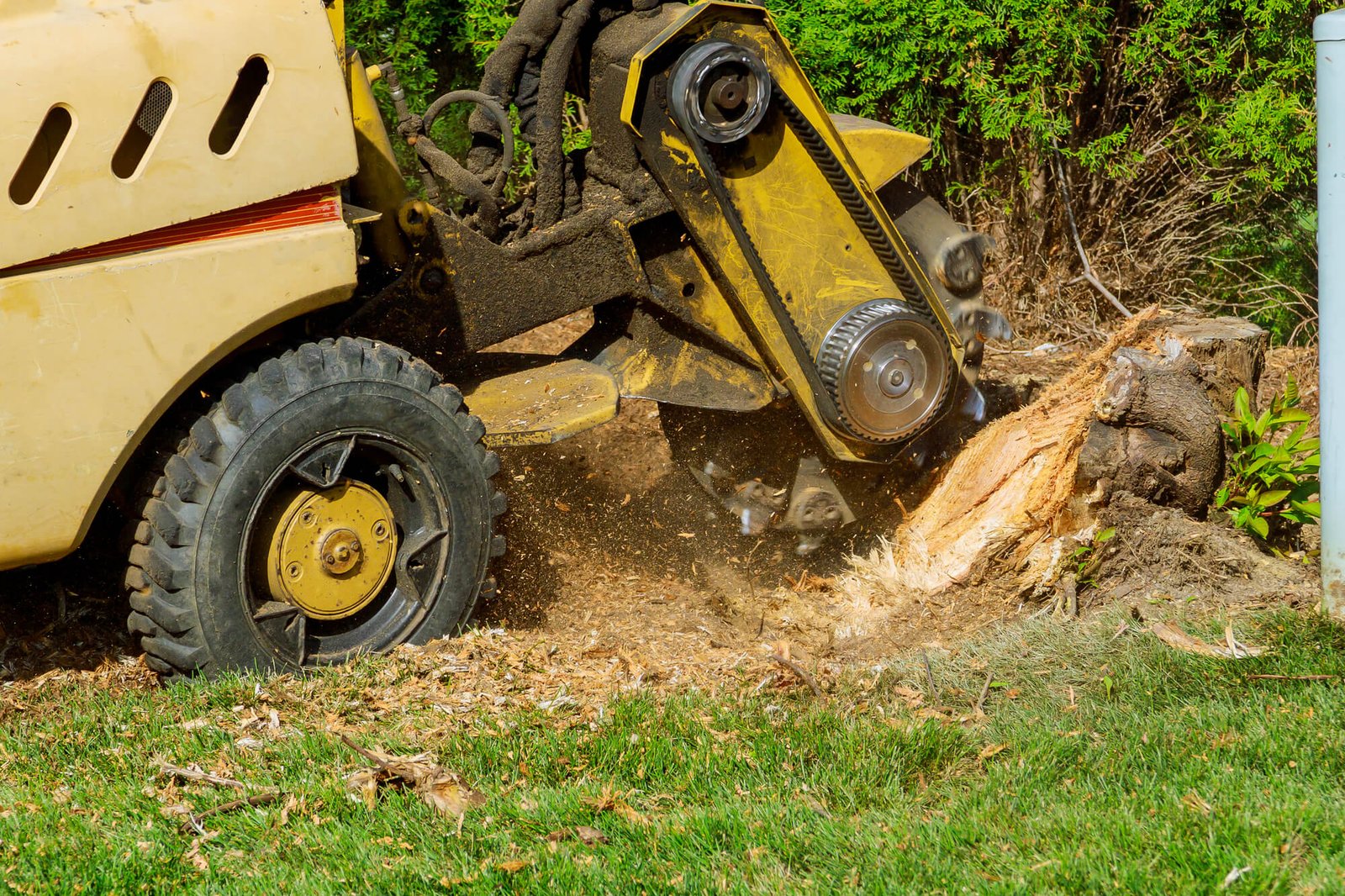 Clean residential outdoor property