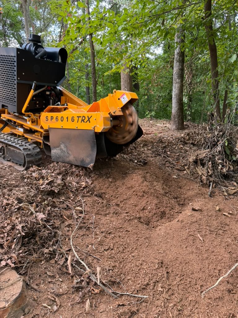 Professional stump grinder working on a wooded property