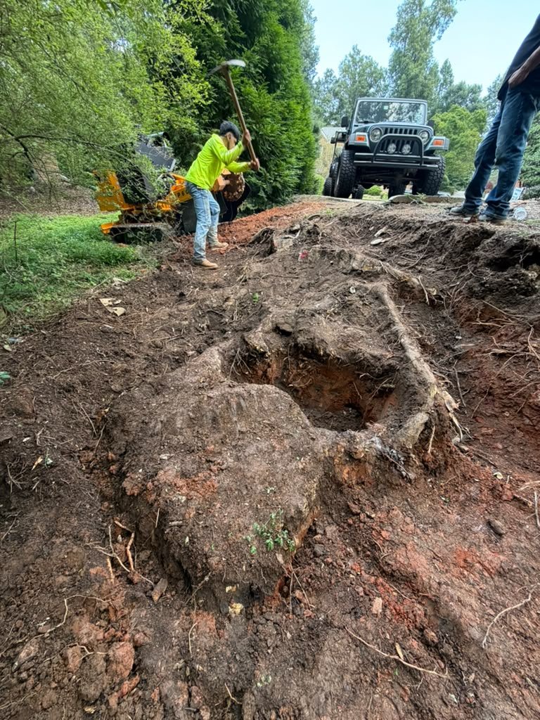 Stump removal and property cleanup