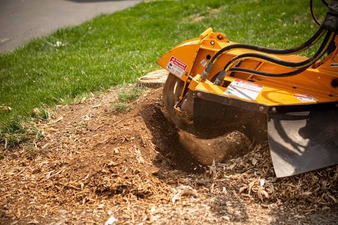 Residential yard service
